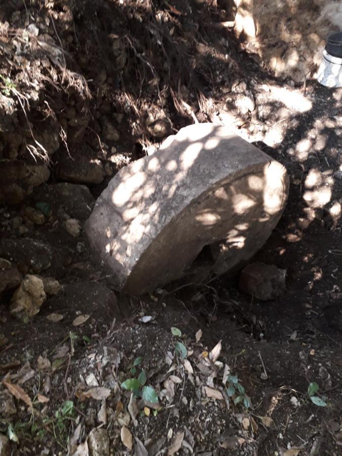 מלון הרצג-נובי Kamp Seosko Domacinstvo Radman מראה חיצוני תמונה