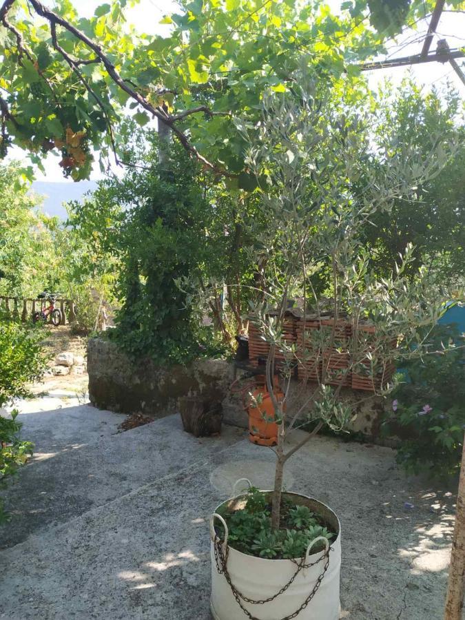 מלון הרצג-נובי Kamp Seosko Domacinstvo Radman מראה חיצוני תמונה